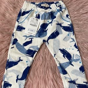 Zara pant